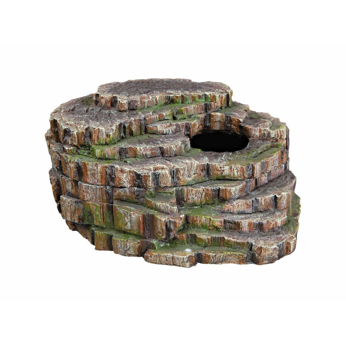 Kits básicos para terrarios