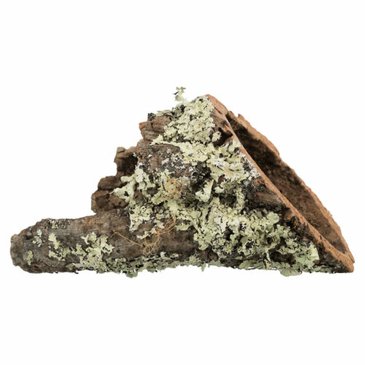 Tunnel Trixie - Image 2