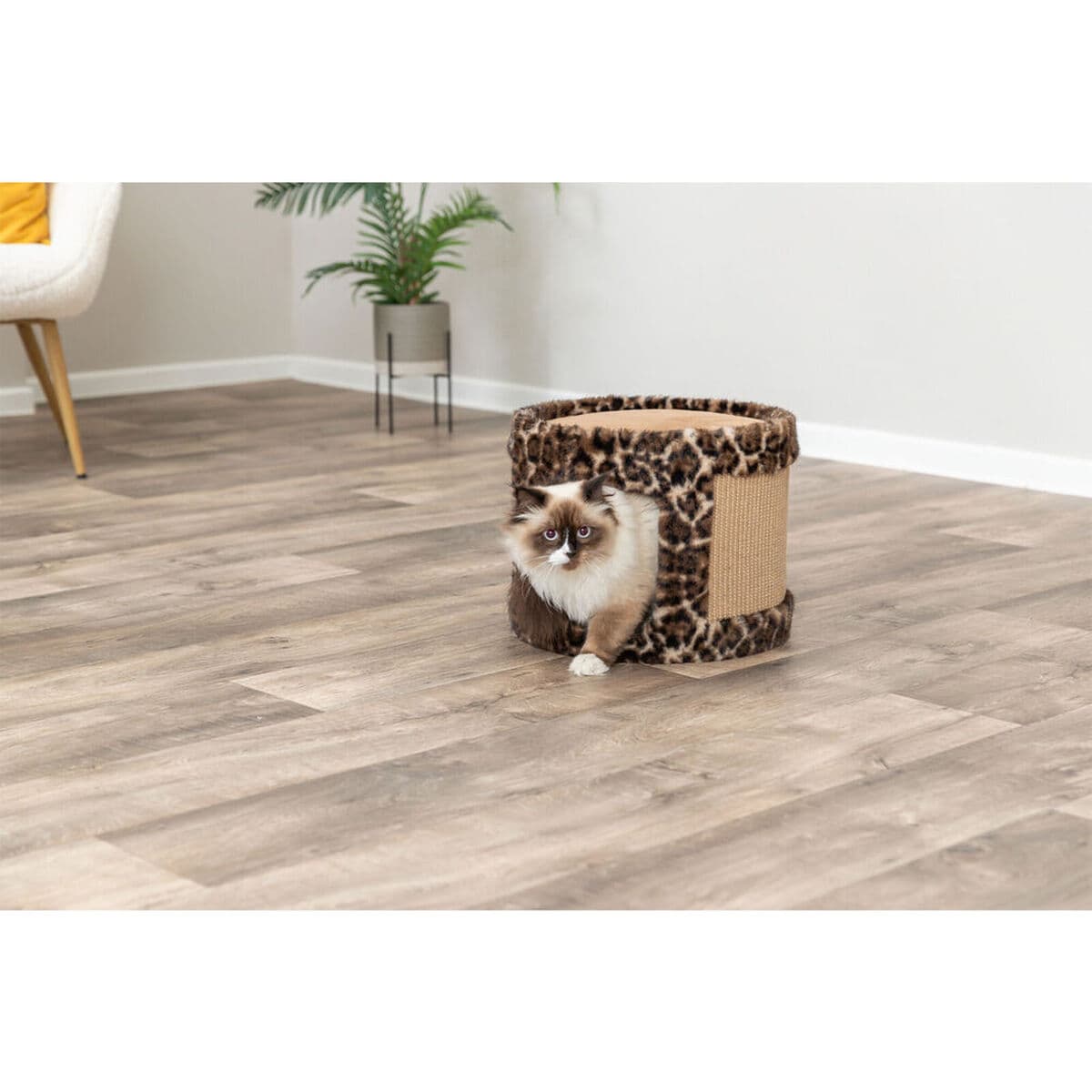 Klösbräda för katter Trixie Leo Brun Ø 38 x 30 cm - Image 3