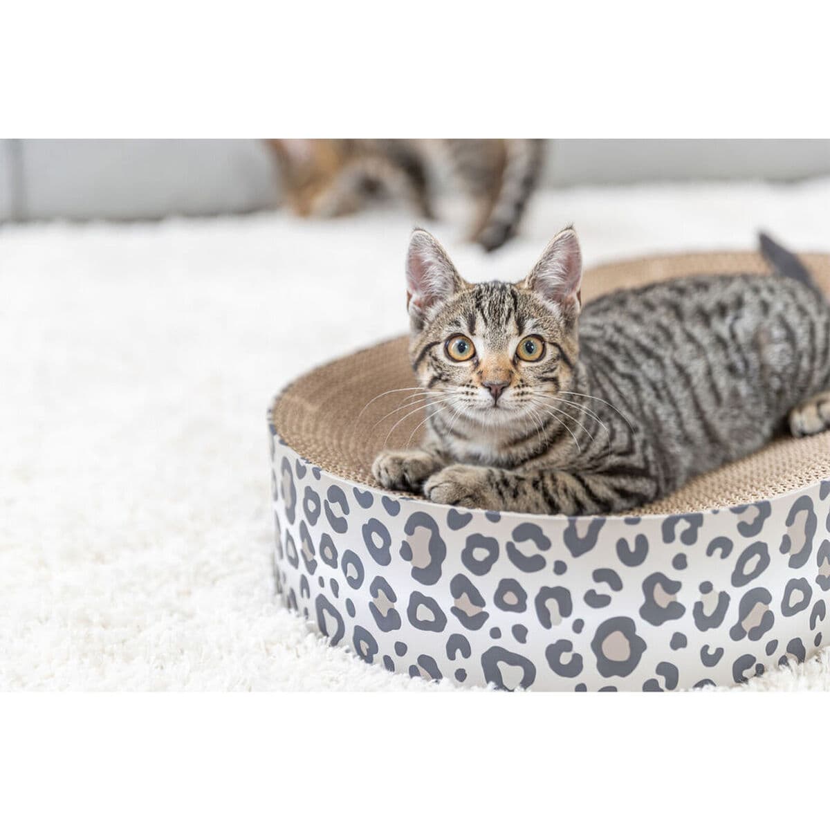 Rascador para Gatos Trixie Leo Crema Cartón 63 x 10 x 35 cm - Image 3