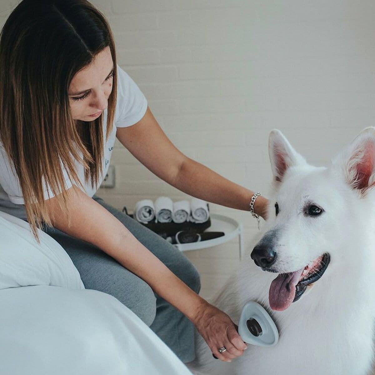 Backcombing brush Hunter Self-cleaning - Image 2