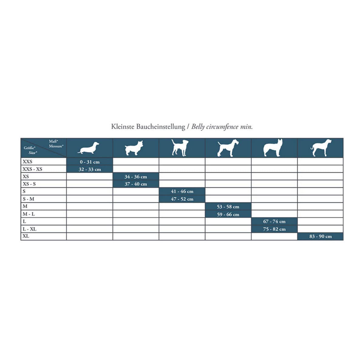 Arnés para Perro Hunter Hilo Comfort 55-60 cm Talla M Turquesa - Image 10