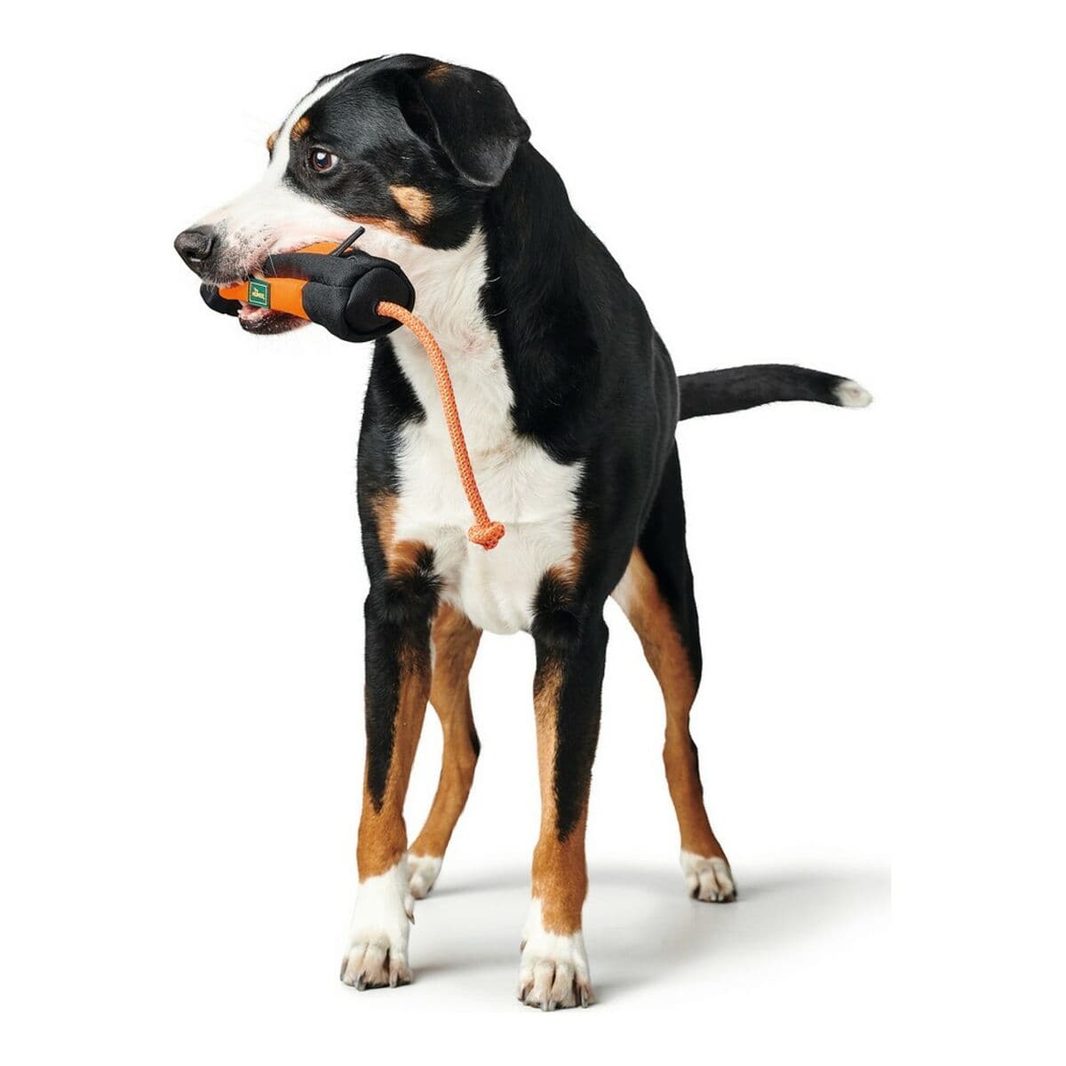 Packaging Hunter Dummy Snacks Black Orange - Image 4