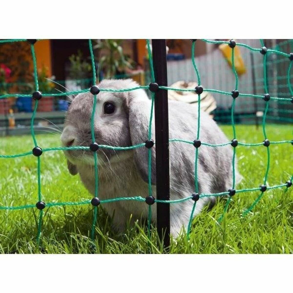 Lemmikkieläinten turvaverkko Kerbl Vihreä - Image 3