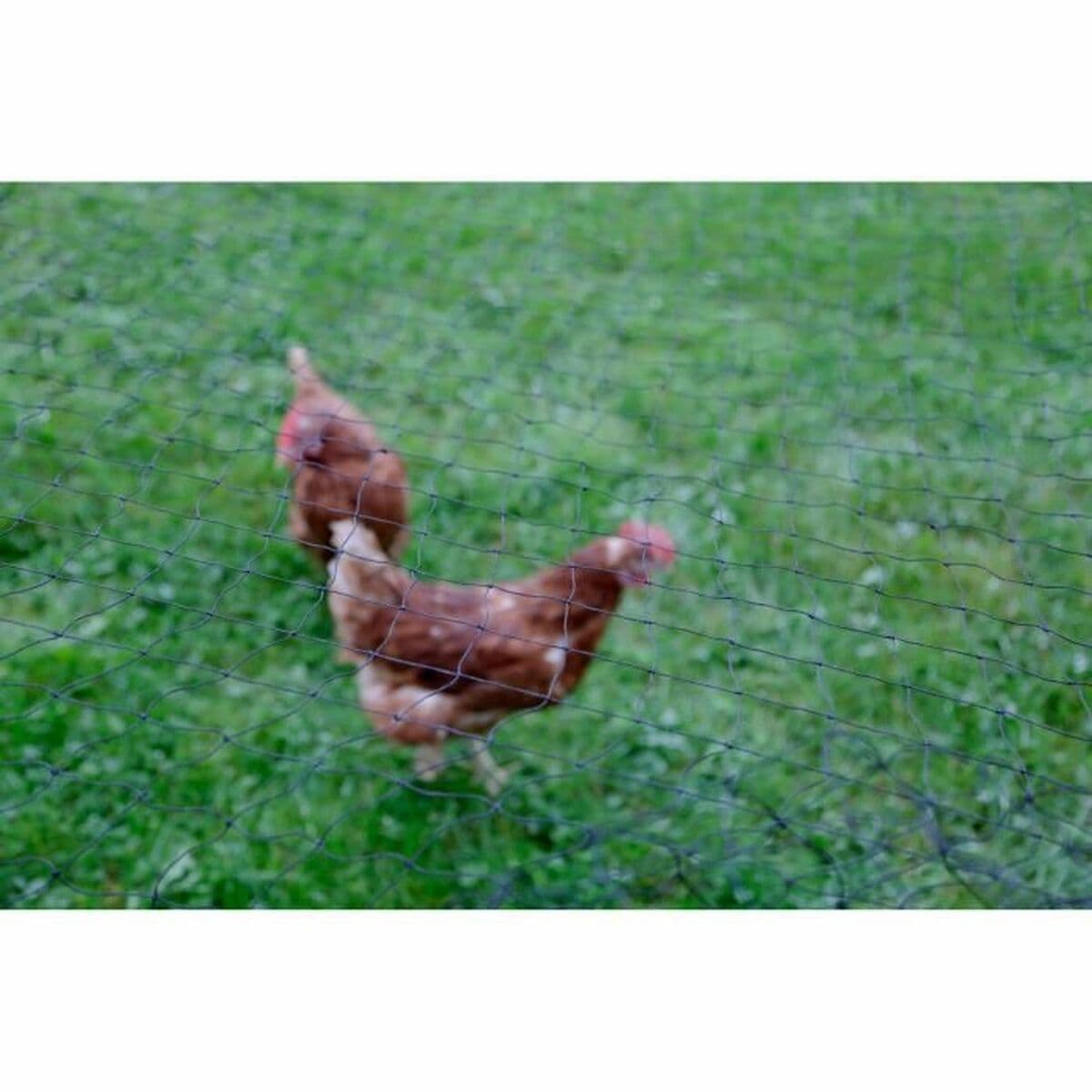 Valla Kerbl Negro 5 x 10 m - Image 2