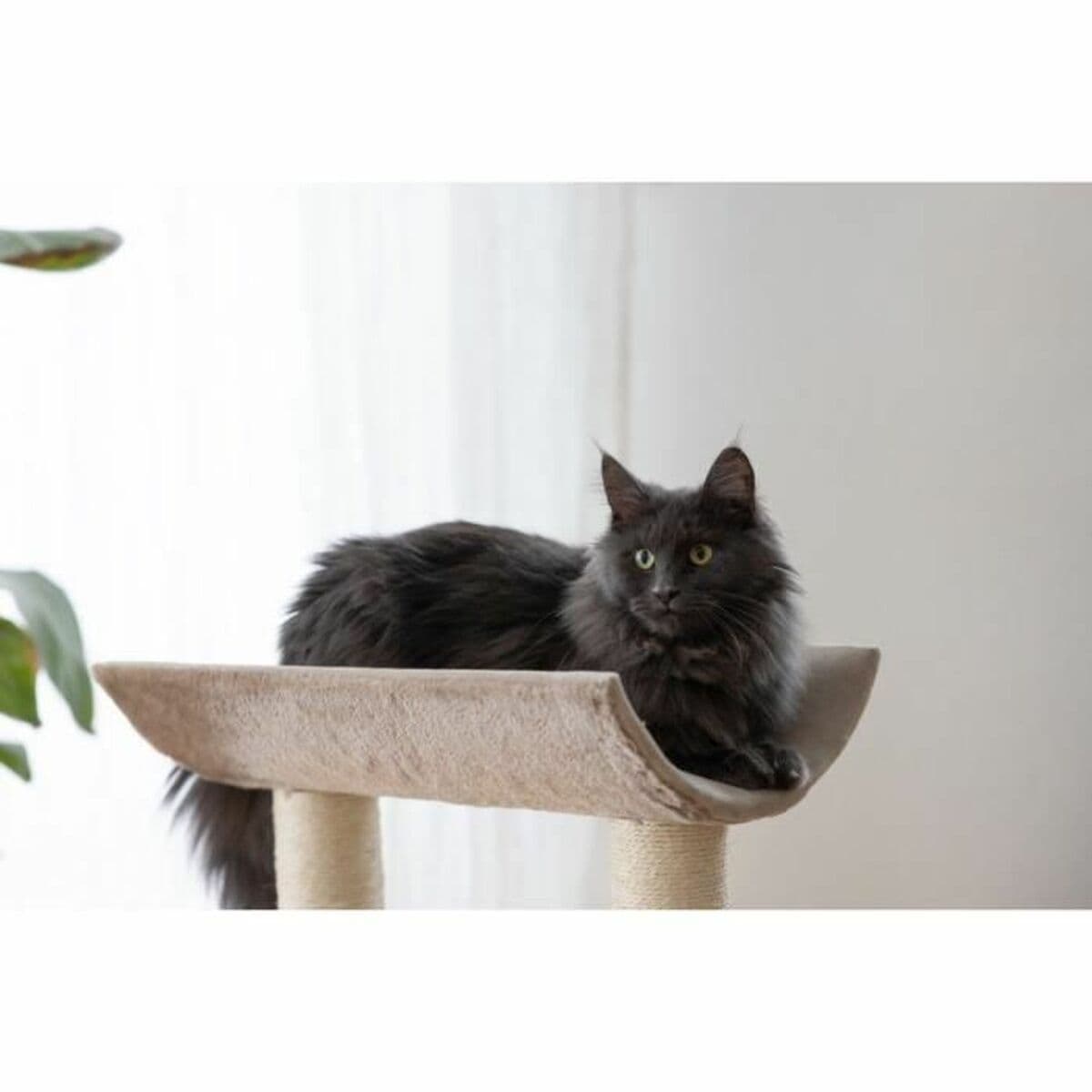 Árbol rascador para gatos Kerbl Taupé Sisal - Image 5