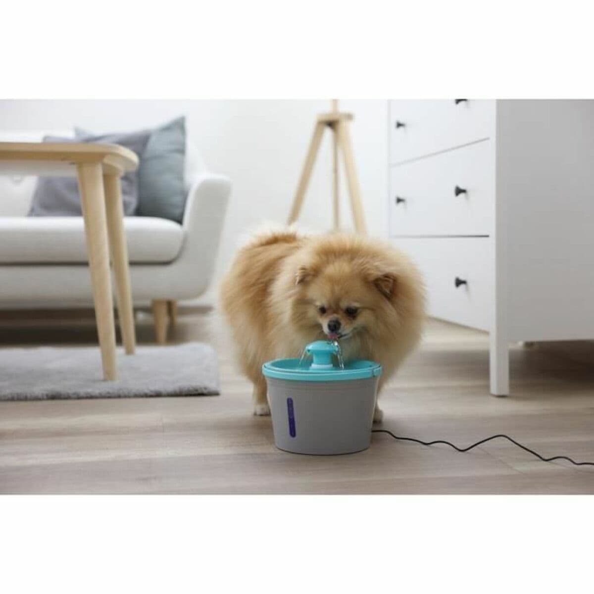 Fonte para Animais de Estimação Kerbl Azul Cinzento Plástico 1,6 L - Image 5