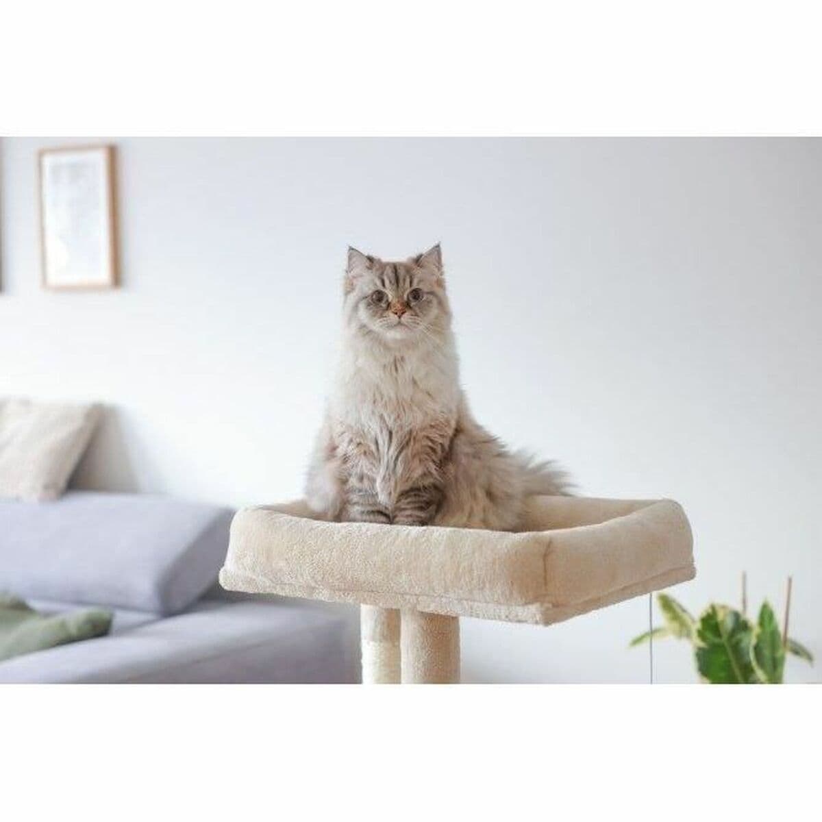 Arbre à chat Kerbl Beige - Image 5