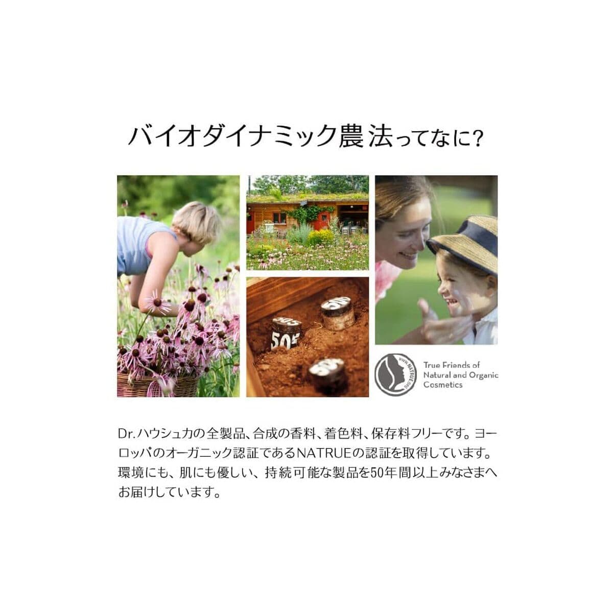 Krem for øye-området Dr. Hauschka 15 ml - Image 9