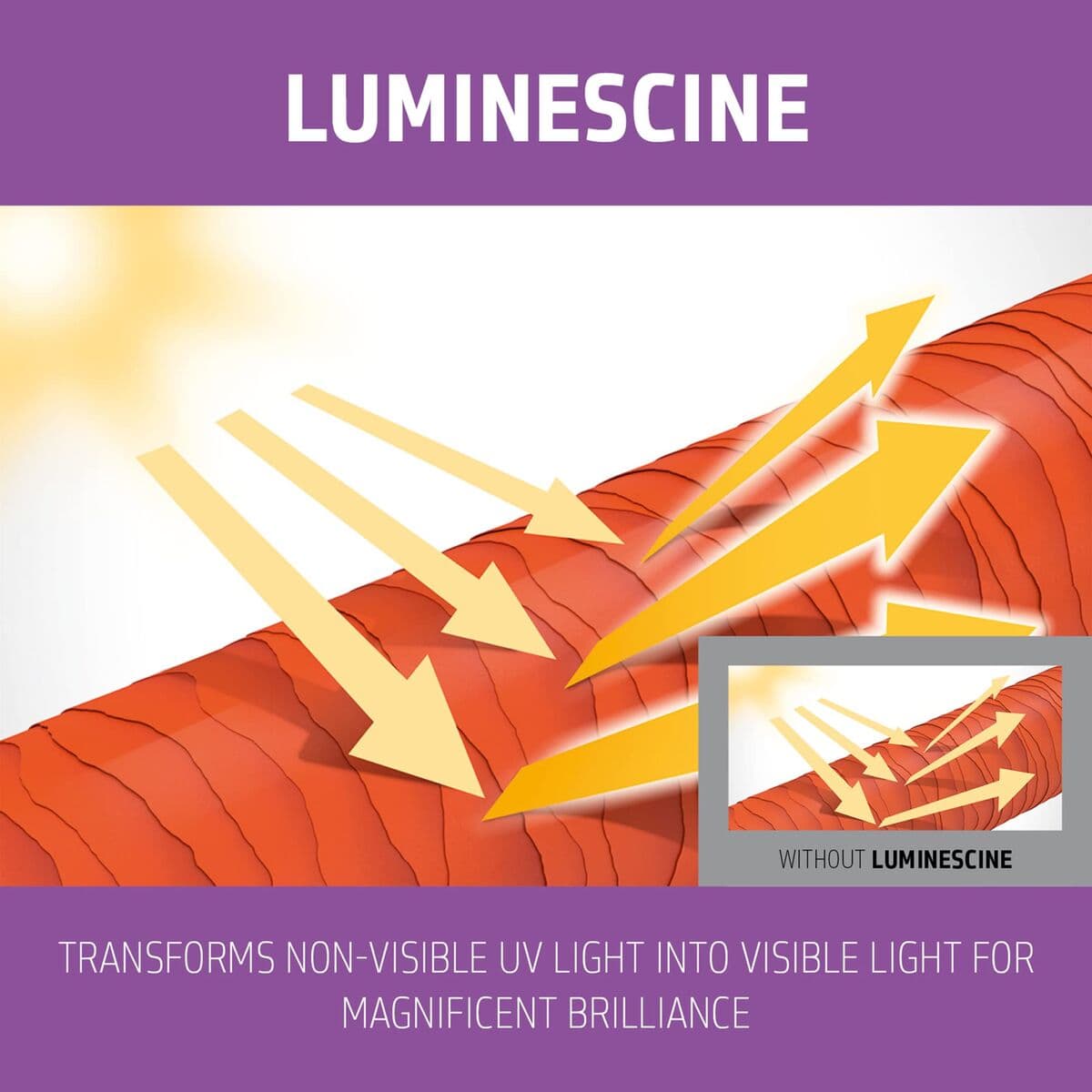 Sjampo Goldwell Blondes Highlights - Image 3