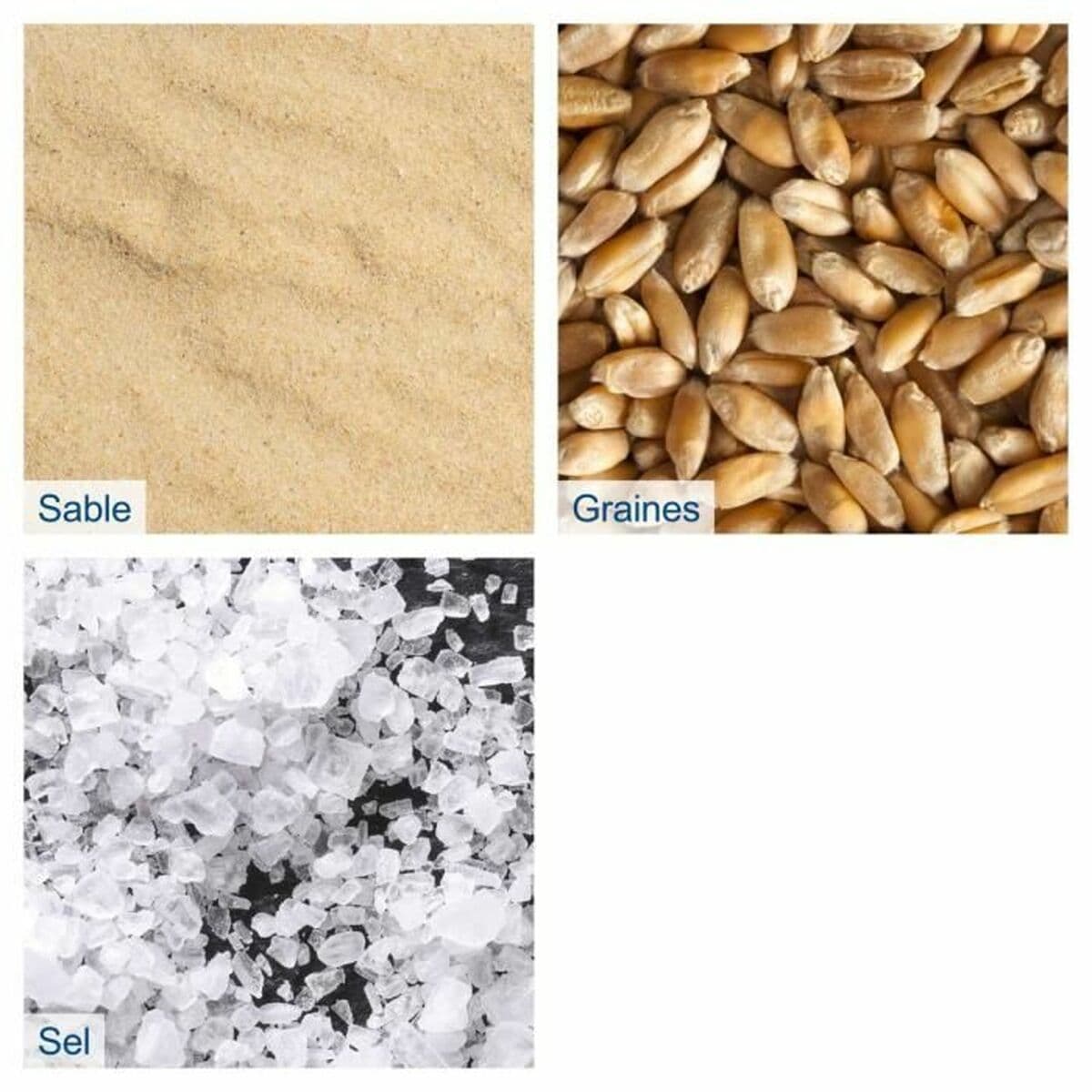 Sembradora Scheppach C-GSP800-X - 20V IXES - Image 4