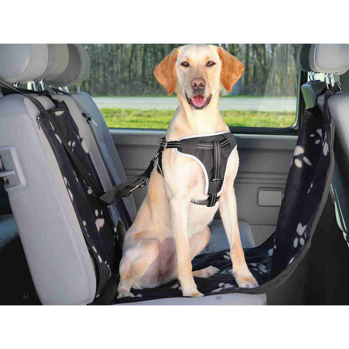 Apima automobilius Trixie - Image 5