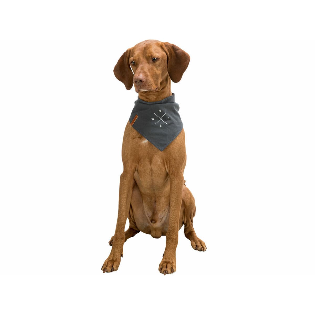 Pañuelo Trixie Perro - Image 11