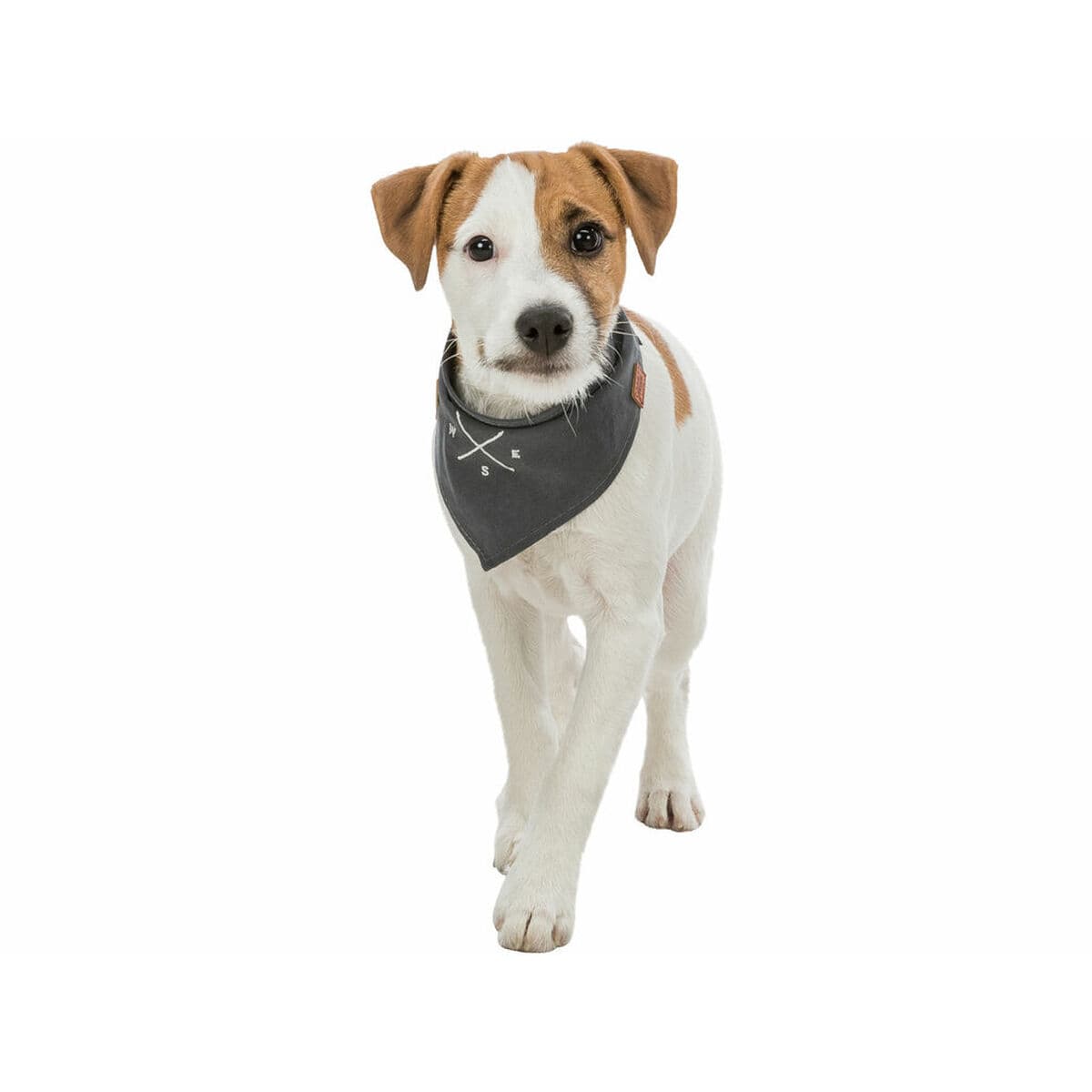 Pañuelo Trixie Perro - Image 13