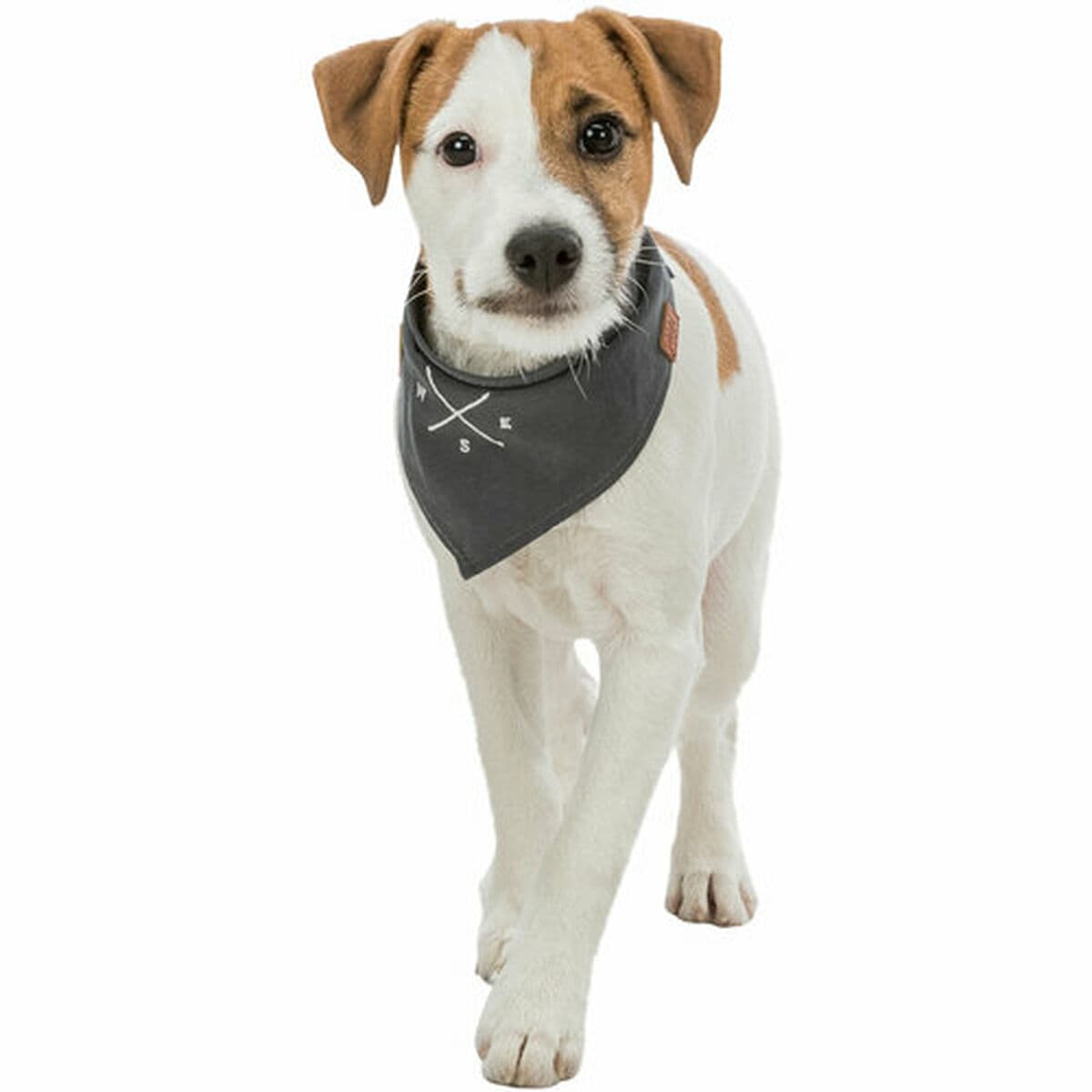 Pañuelo Trixie Perro - Image 14