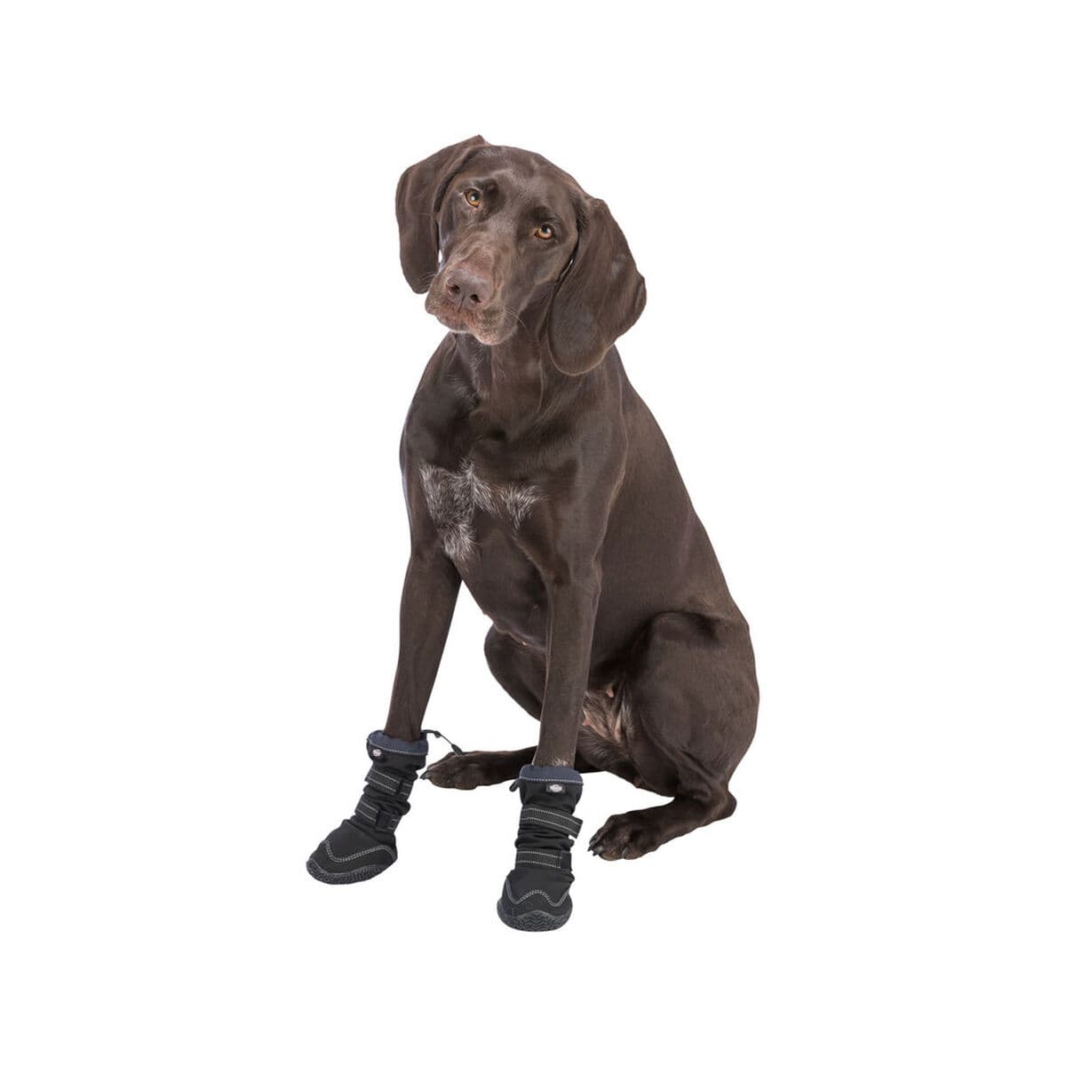 Kojų apsaugos vaikštynė Trixie Juoda S/M - Image 17