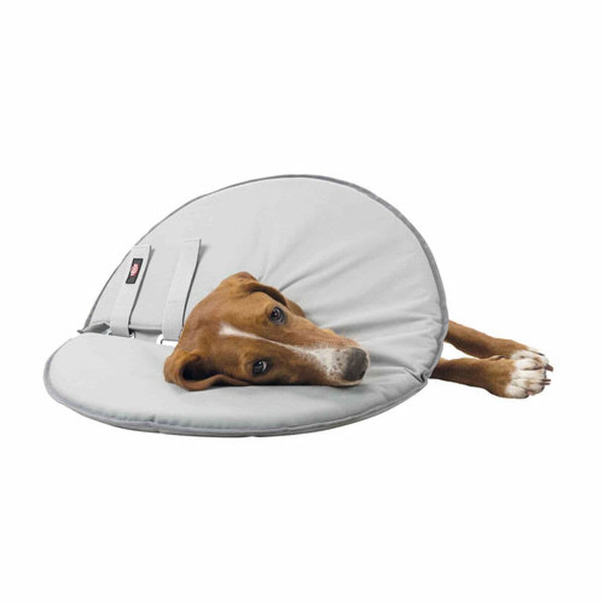 Kauluri koirille Trixie Harmaa (23-27 cm) - Image 9