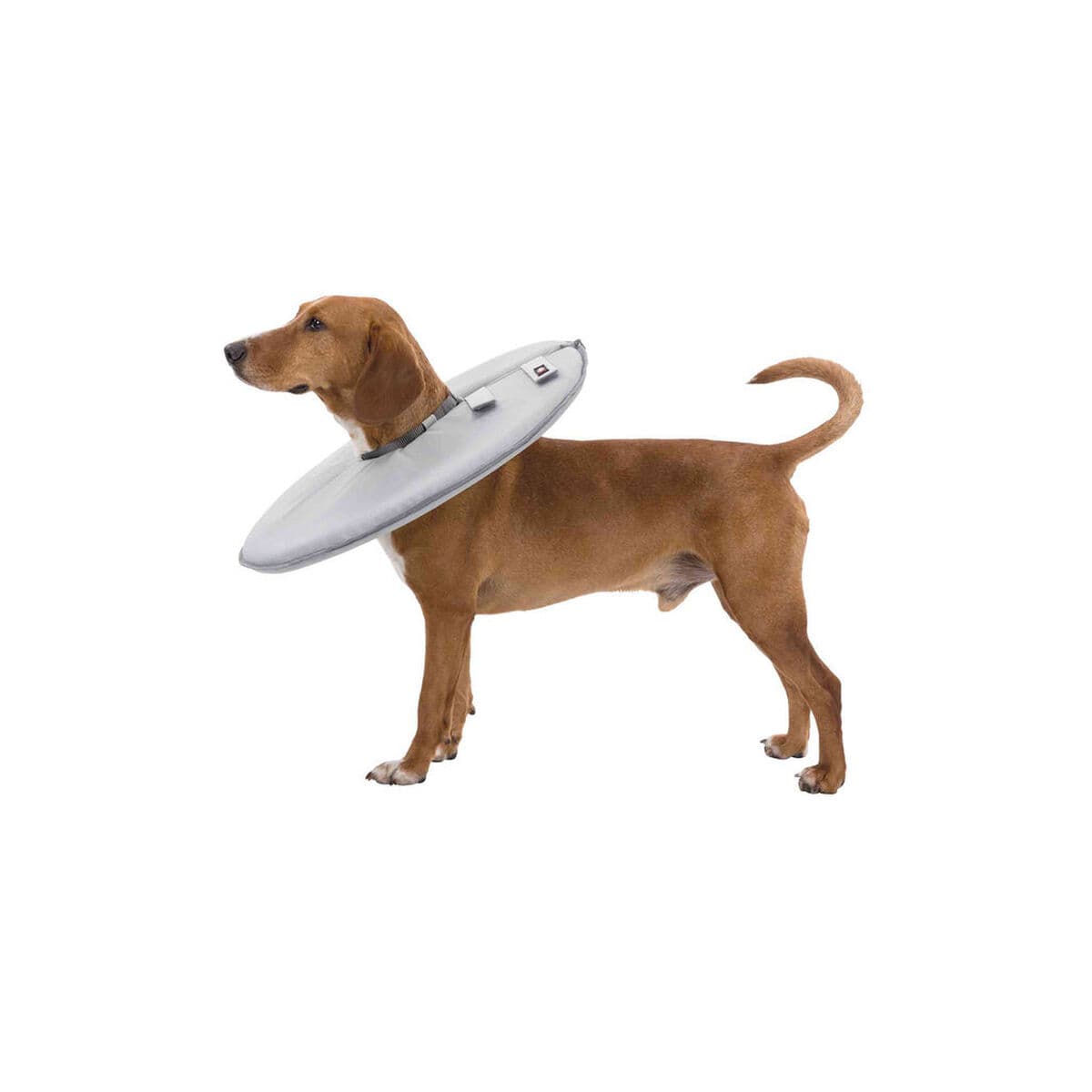 Kauluri koirille Trixie Harmaa (23-27 cm) - Image 4