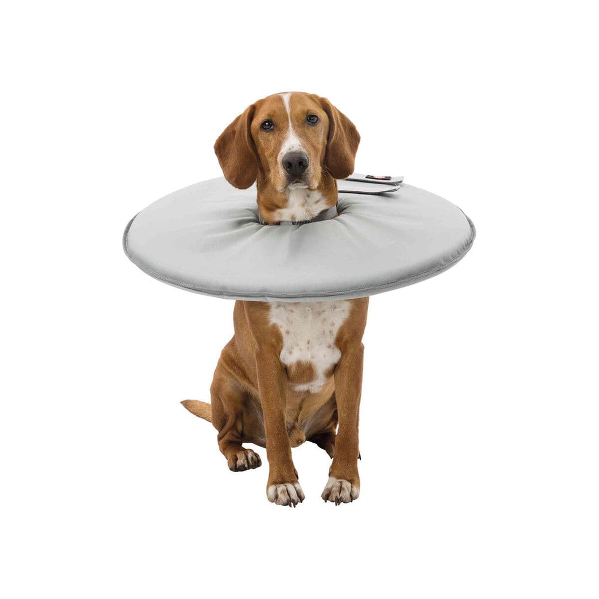 Collar Isabelino para Perros Trixie Gris (30-34 cm) - Image 9