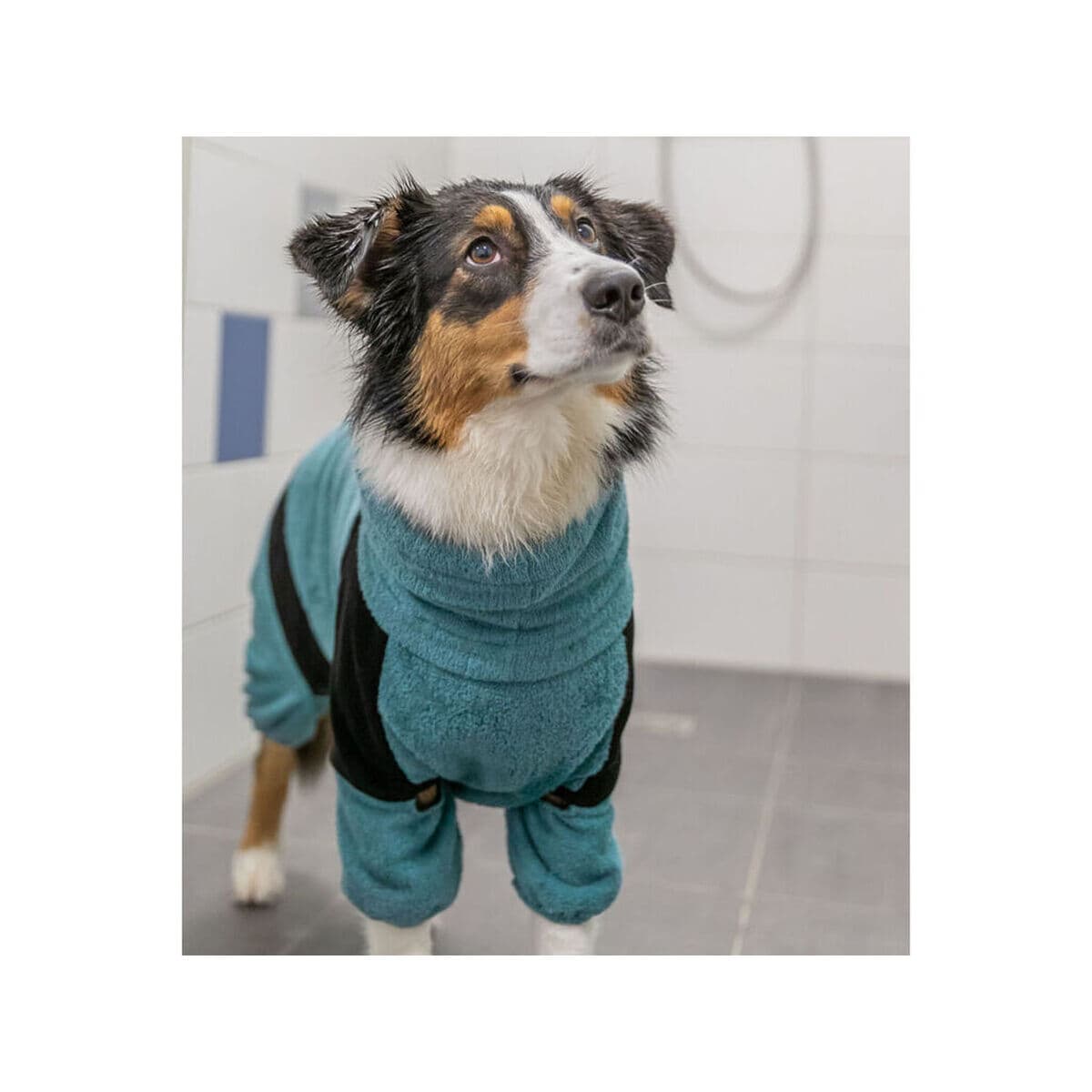 Dog bathrobe Trixie Blue XS - Image 2