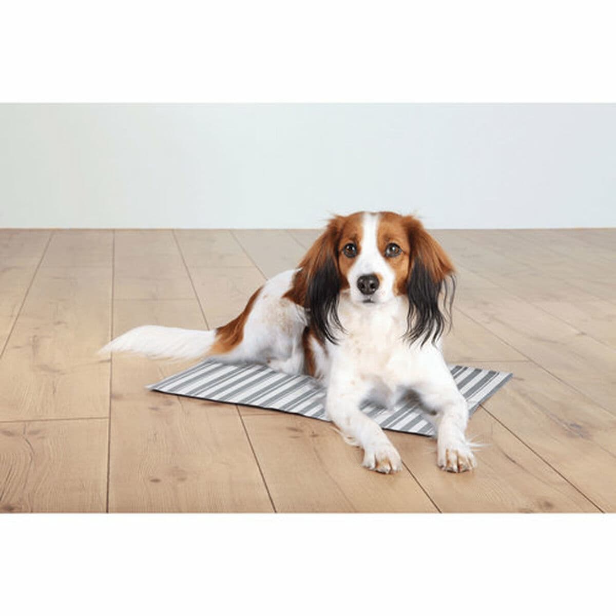 Alfombra para perros Trixie Blanco Gris Poliéster 65 × 50 cm Refrescante - Image 11