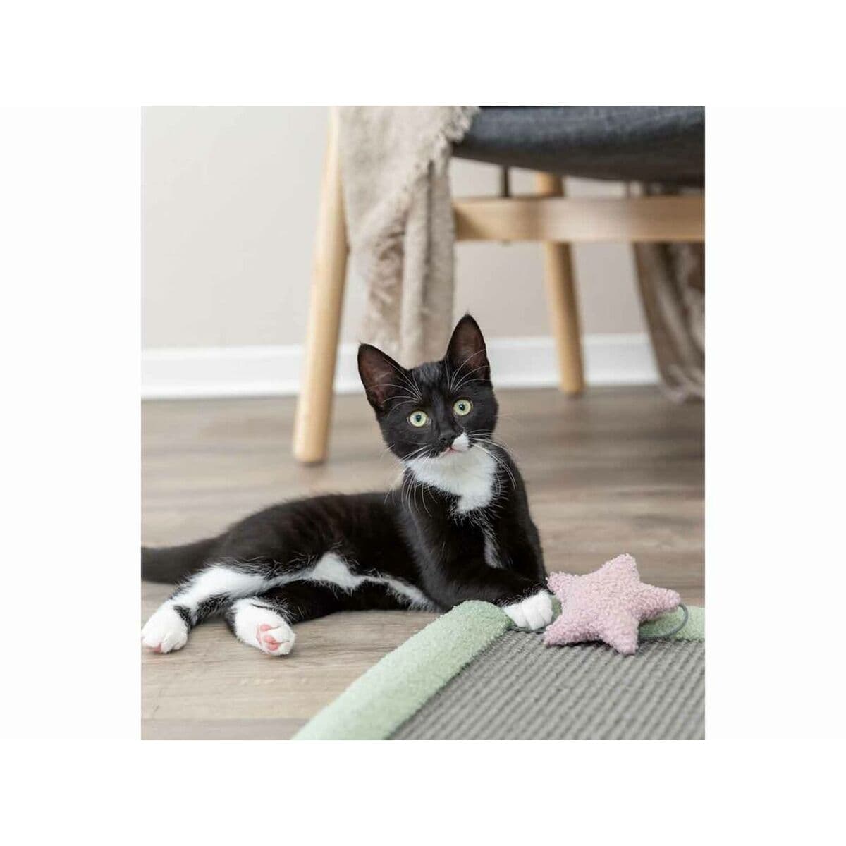 Rascador para Gatos Trixie Junior Gris Menta Poliéster Sisal 47 x 47 cm - Image 6