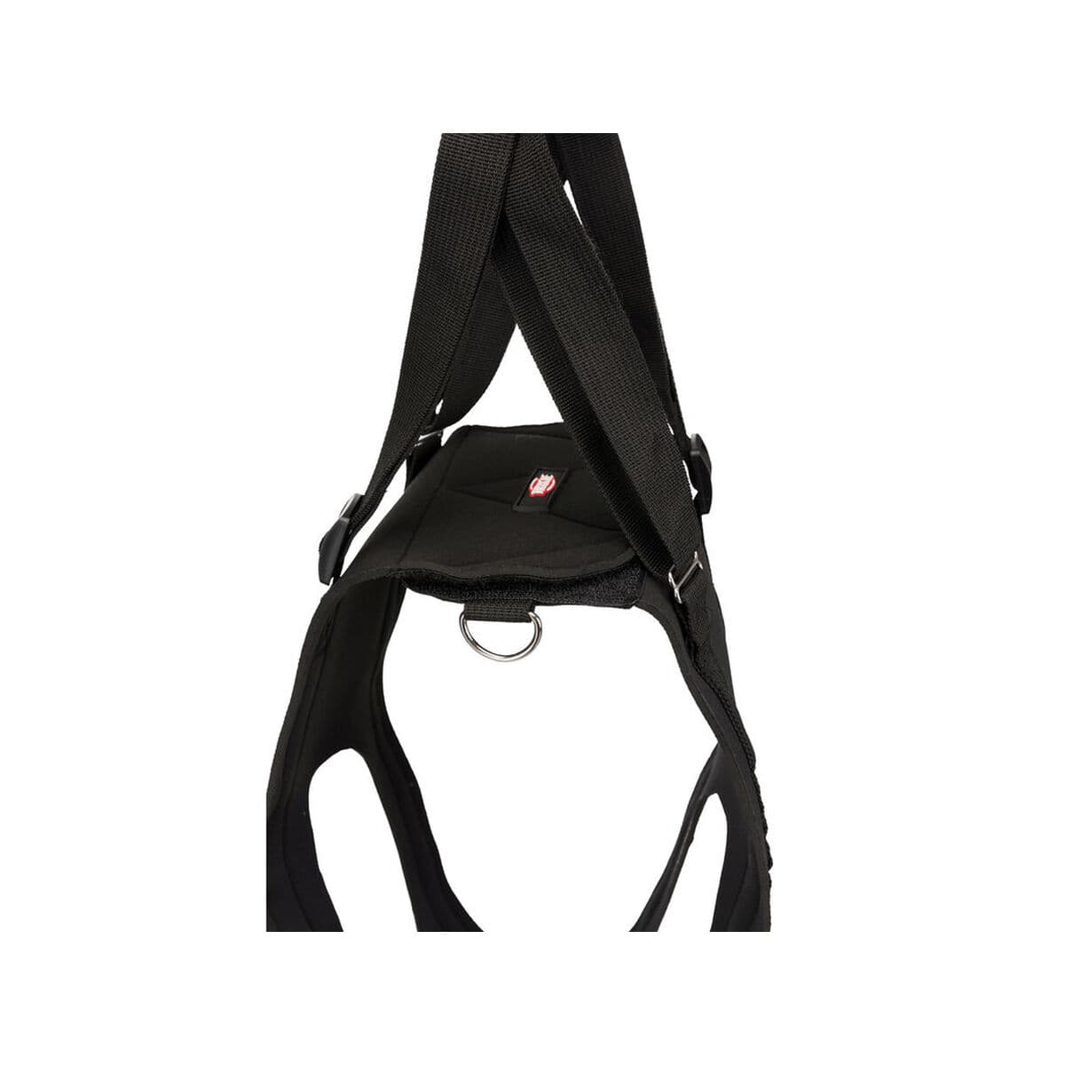 Koirankävelyttäjä Trixie - Image 5