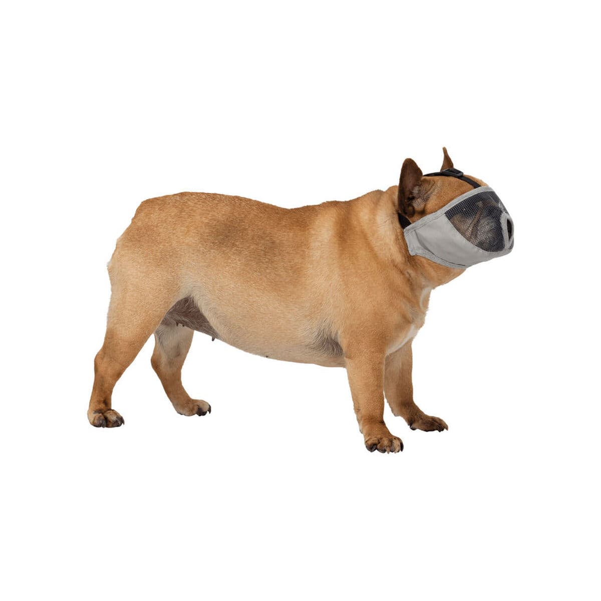 Kaganiec Trixie Czarny/Szary S - Image 3