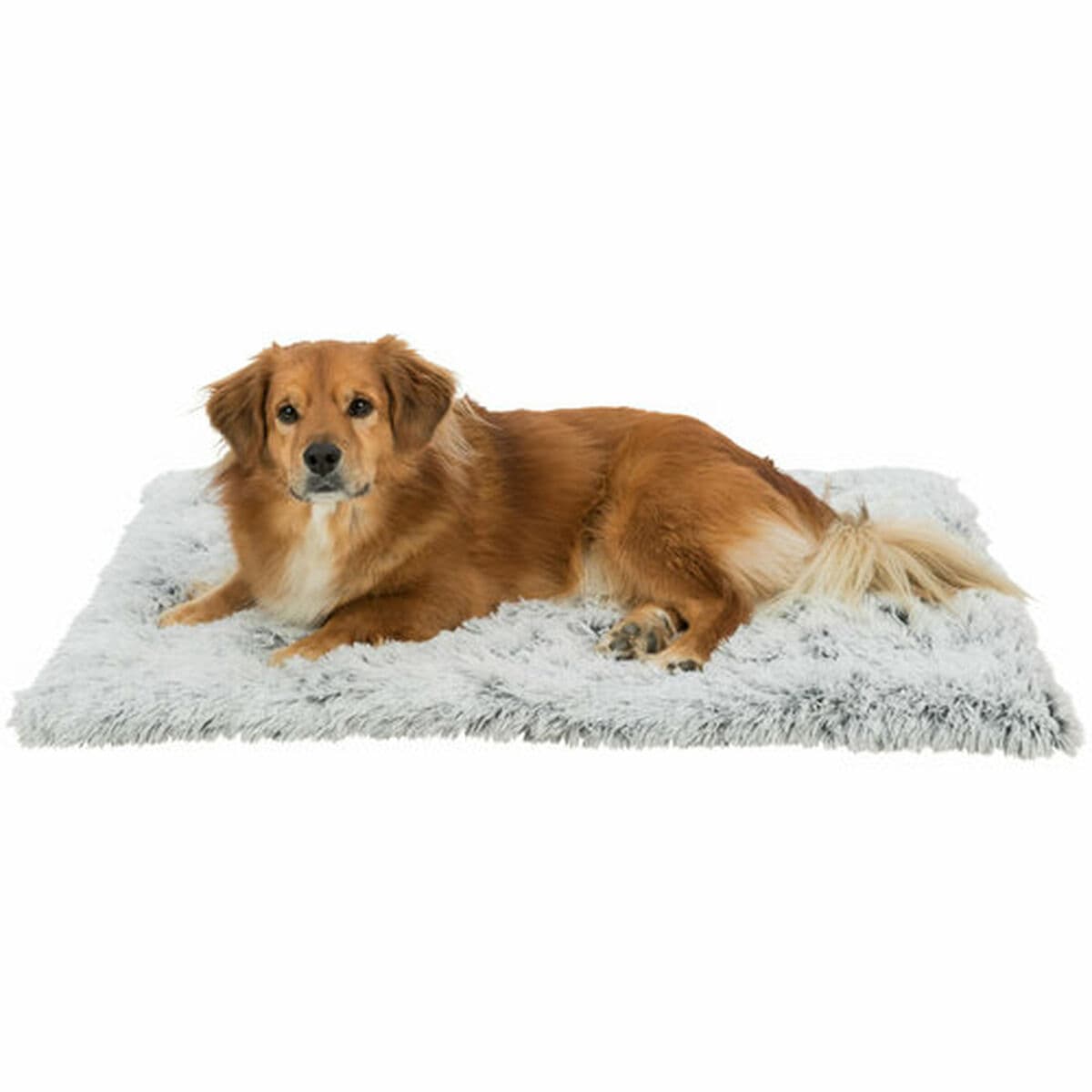 Alfombra para perros Trixie Blanco Negro Gris Felpa 75 × 55 cm - Image 12