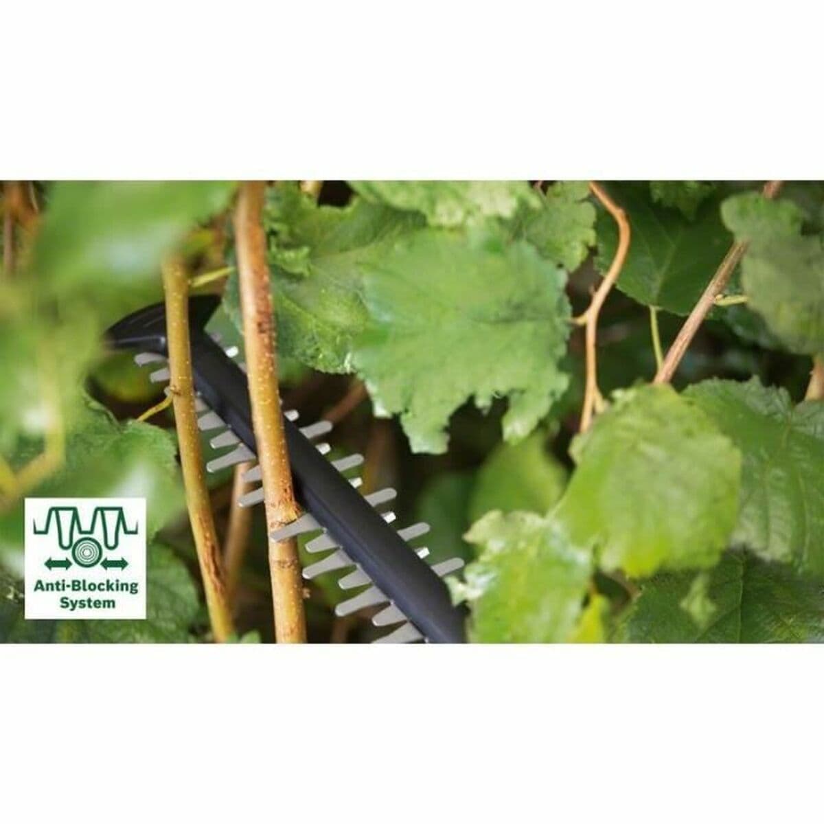 Häcktrimmer BOSCH 36 V - Image 2