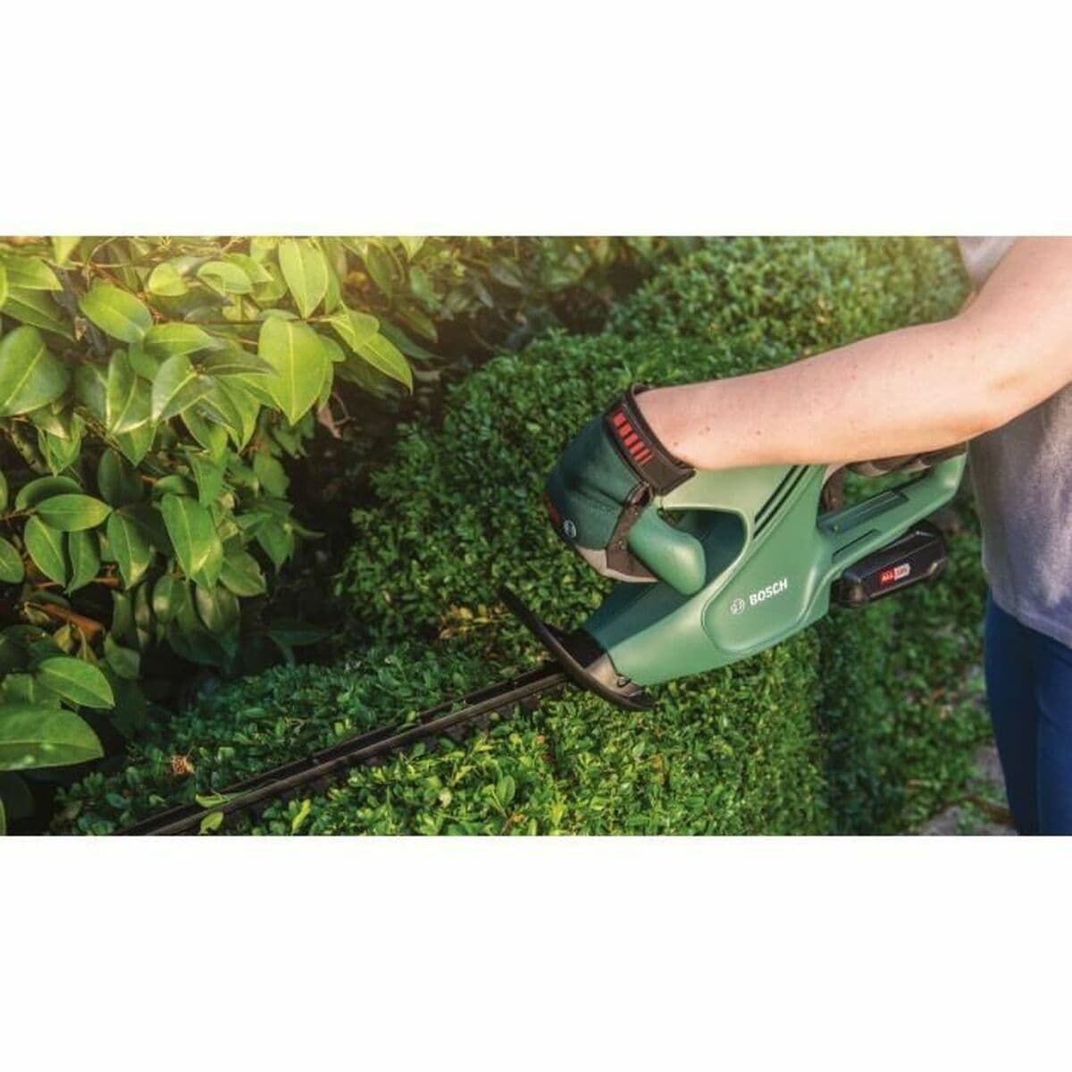 Hekilõikur BOSCH EasyHedge 18 V - Image 3