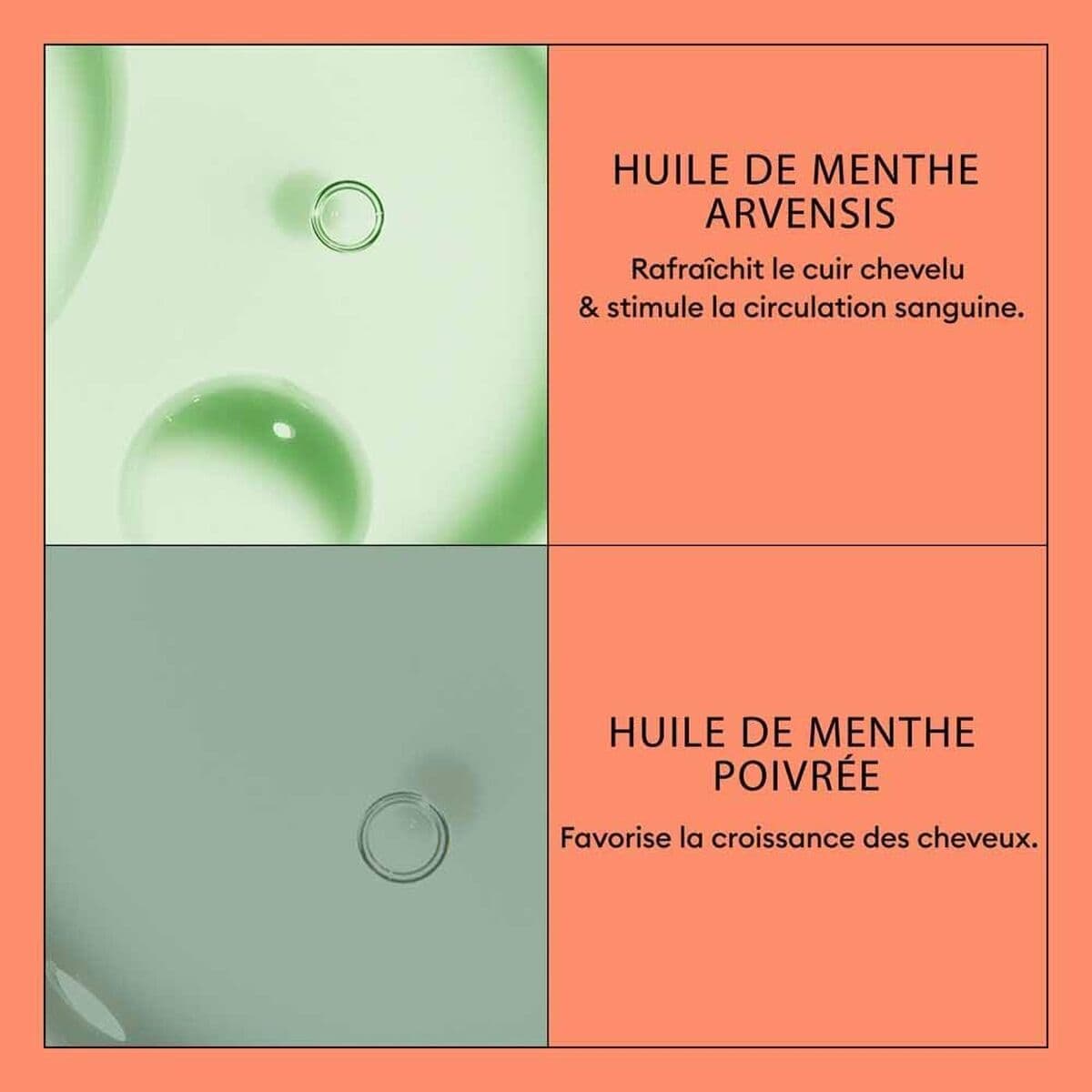 Rankų kremas Nioxin - Image 4