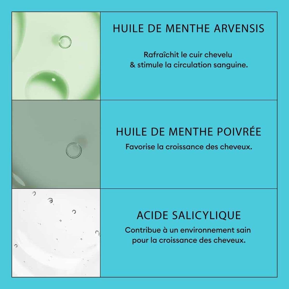 null - Image 4