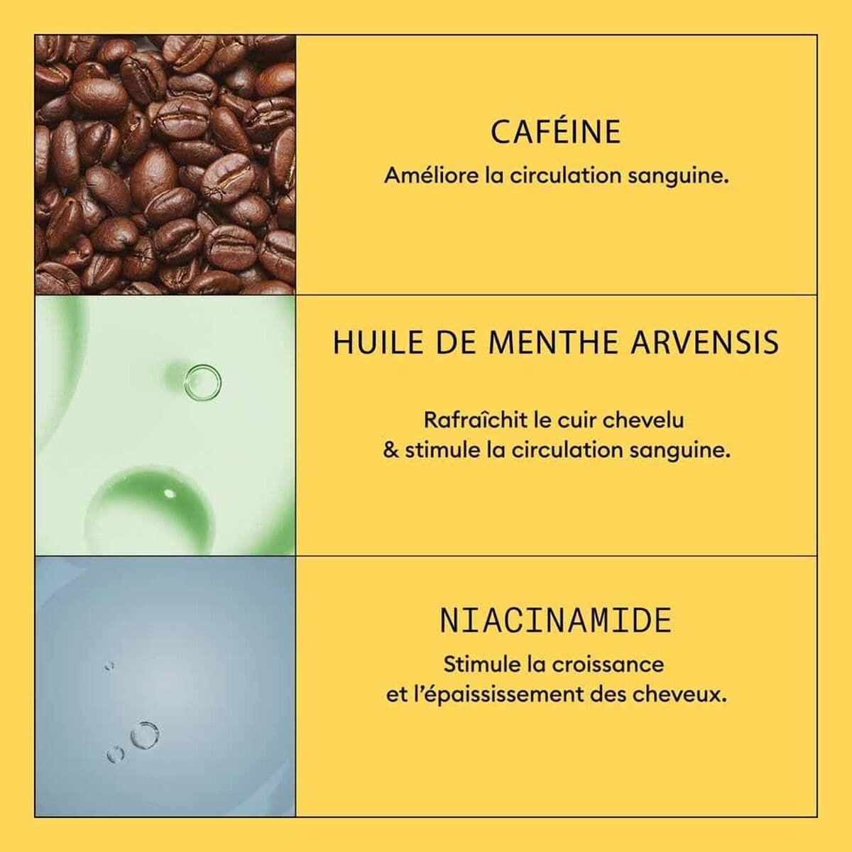 Plaukų atstatymo gydymas Nioxin System 1 Scalp 100 ml - Image 5