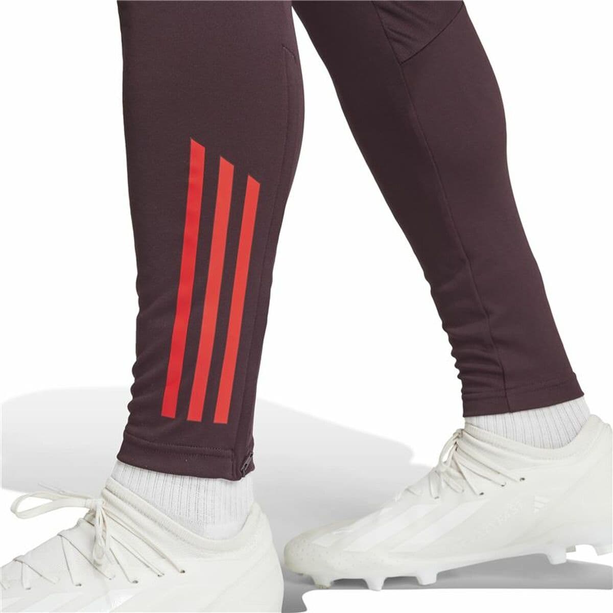 Pantalón Largo Deportivo Adidas Fc Bayern 24/25 Tiro24 Marrón Granate Hombre - Image 7