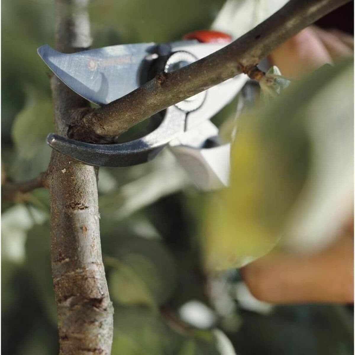 Tijeras de Poda Gardena BP SIGHT 50 22 mm - Image 3