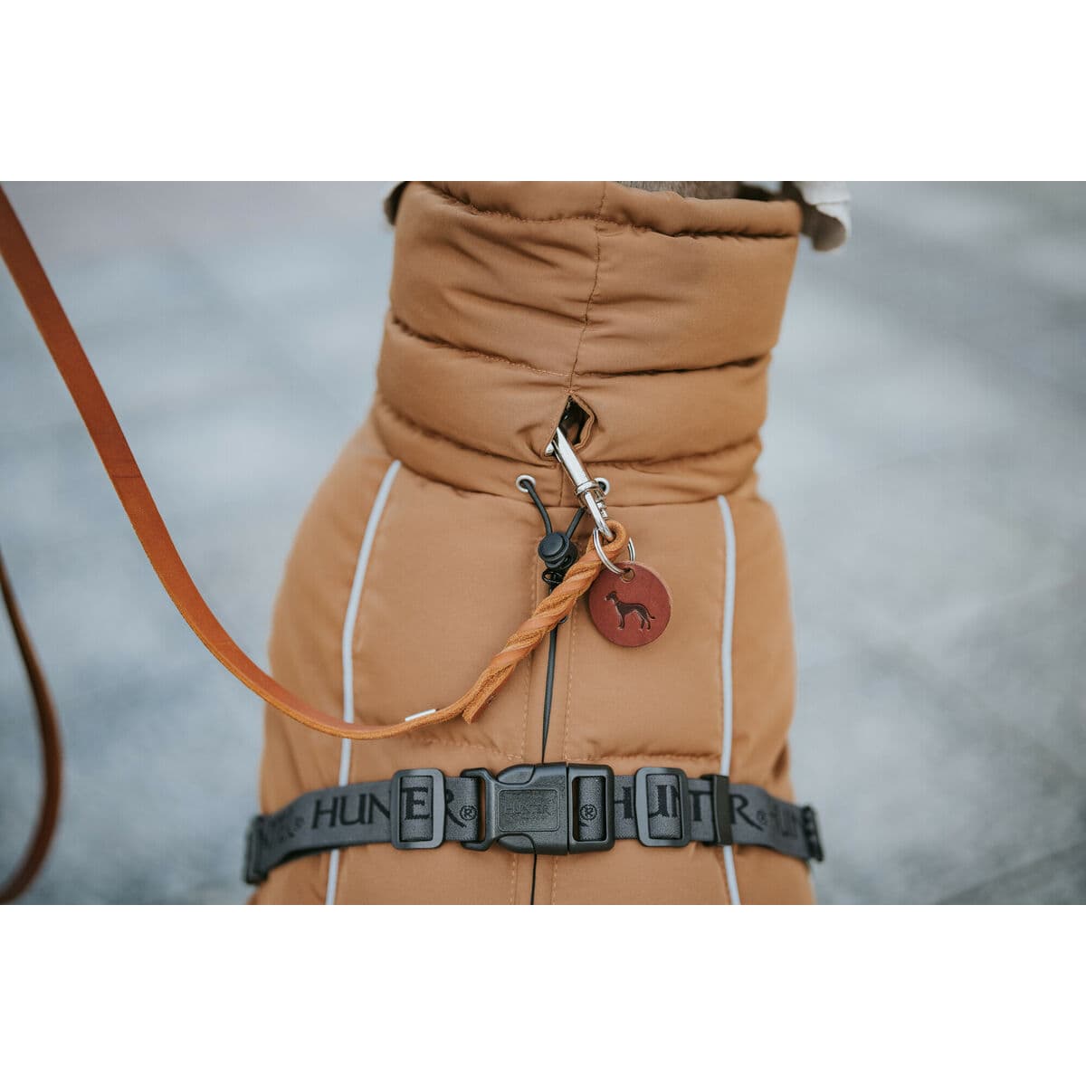 Djurkläder Hunter PAXSON Brun Polyester - Image 2