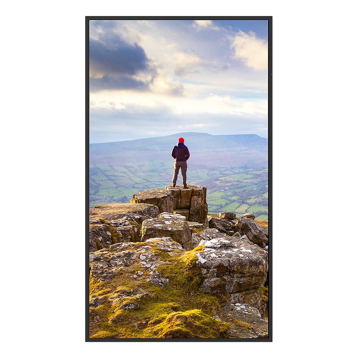 Monitor Videowall Sharp 60006181 4K Ultra HD 43" - Image 2