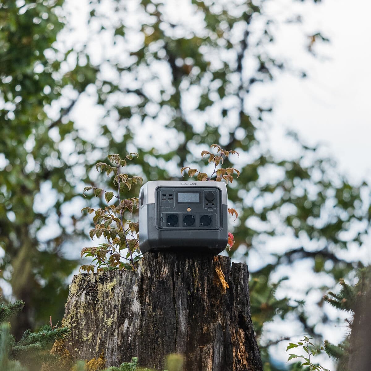 Ecoflow Estación Energía 768Wh/ 800W River 2 Pro - Image 12