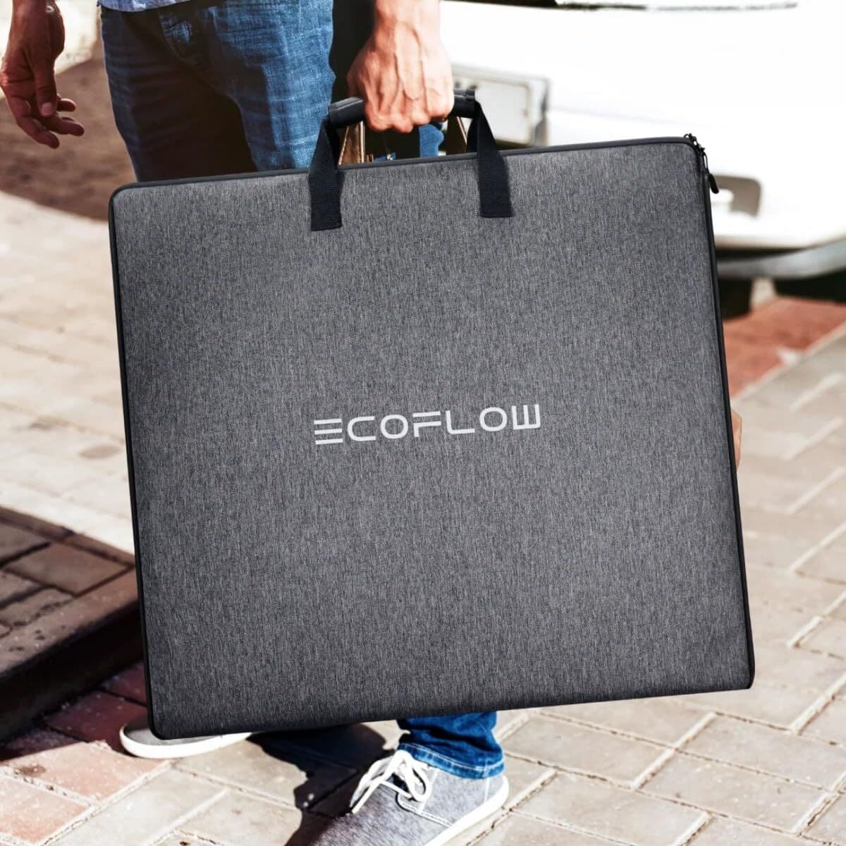 Solcellepanel Ecoflow EFSOLAR220W-N 220 W Sammenleggbar Bærbar - Image 6