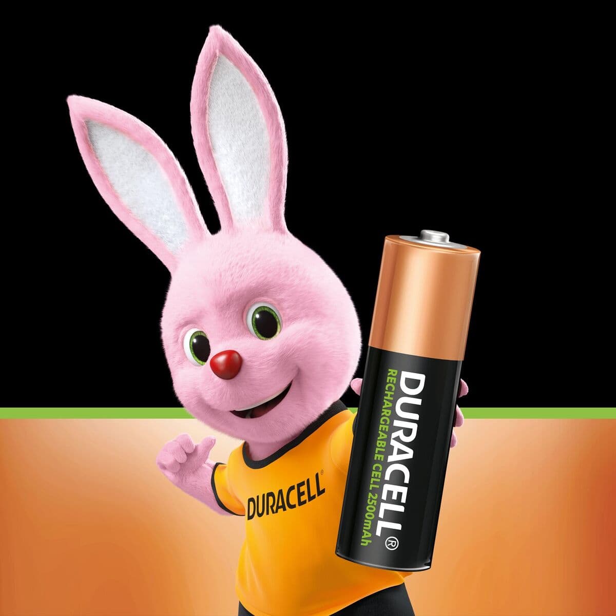 Oppladbare Batterier DURACELL 1,2 V AA - Image 11