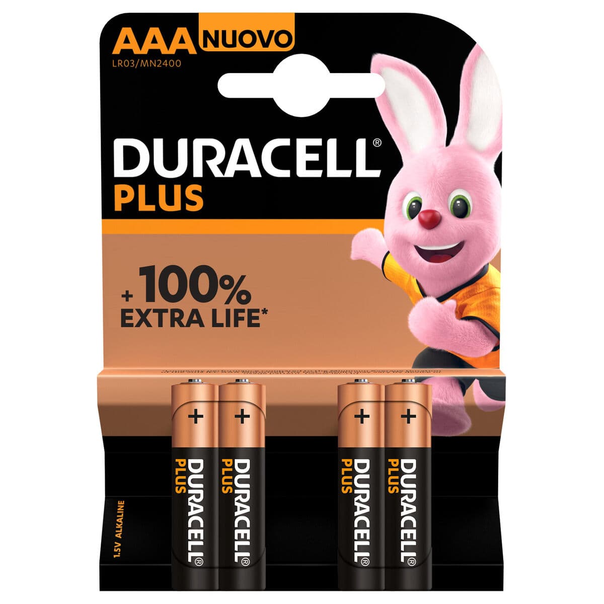 Šarminė baterija DURACELL AAA 1,5 V