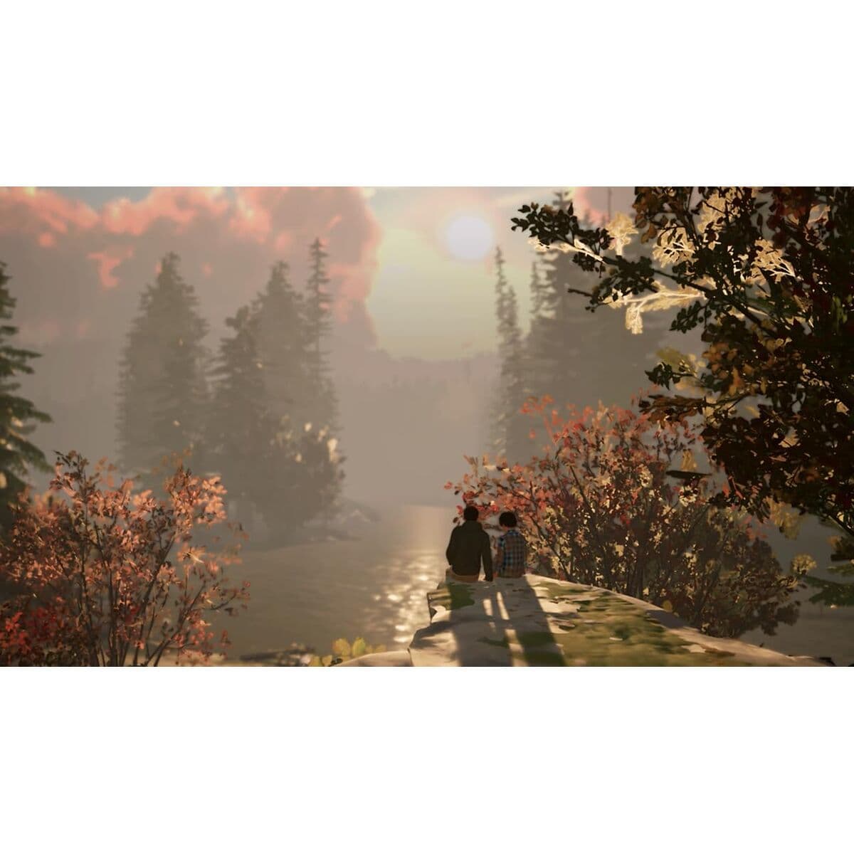 Videojuego para Switch Square Enix Life is Strange 2 - Image 11