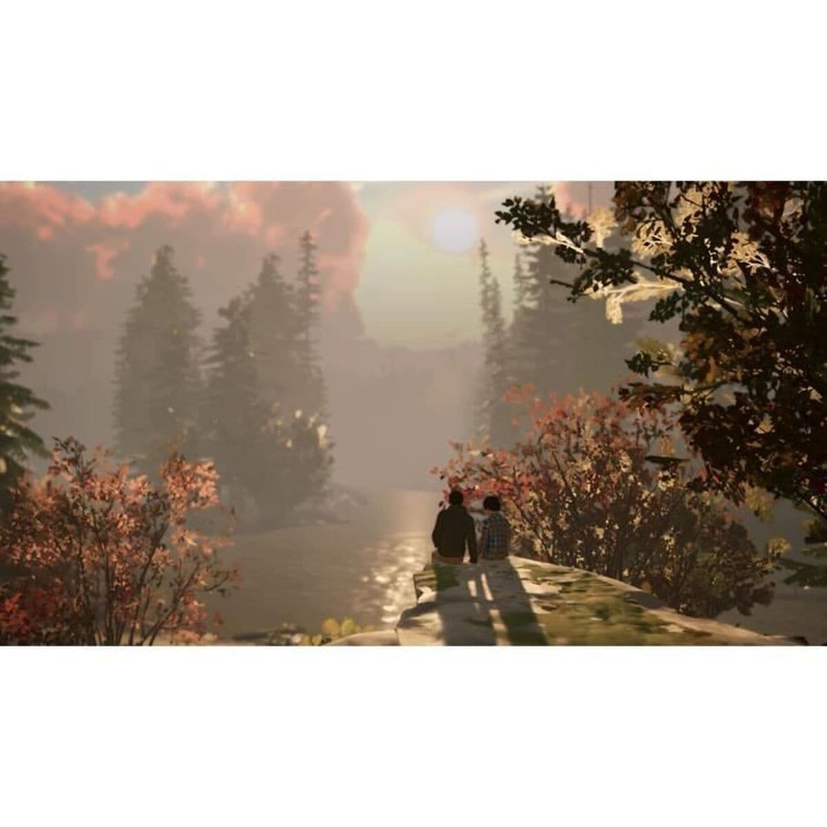 Videojuego para Switch Square Enix Life is Strange 2 - Image 10