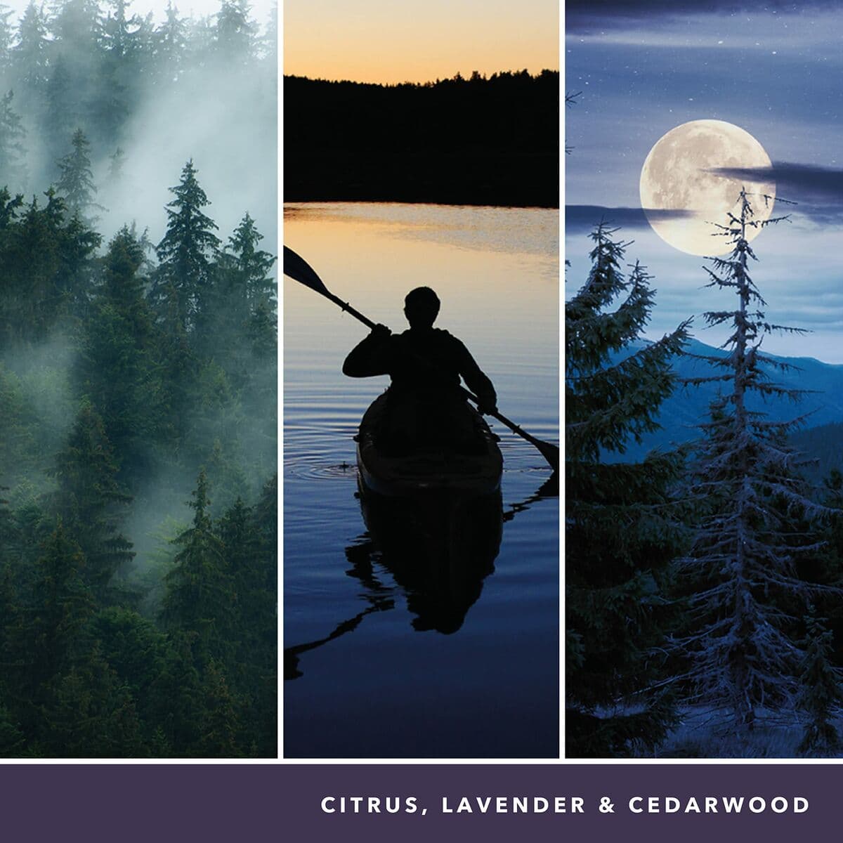 Doftljus Yankee Candle 1629968E - Image 6