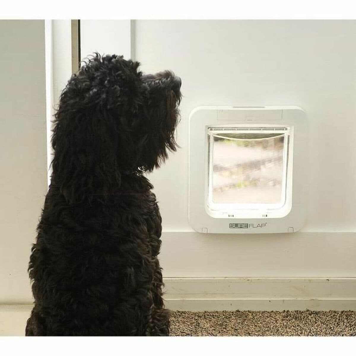 Spremnik za mačku SureFlap SUR101 17,8 x 17 cm - Image 4