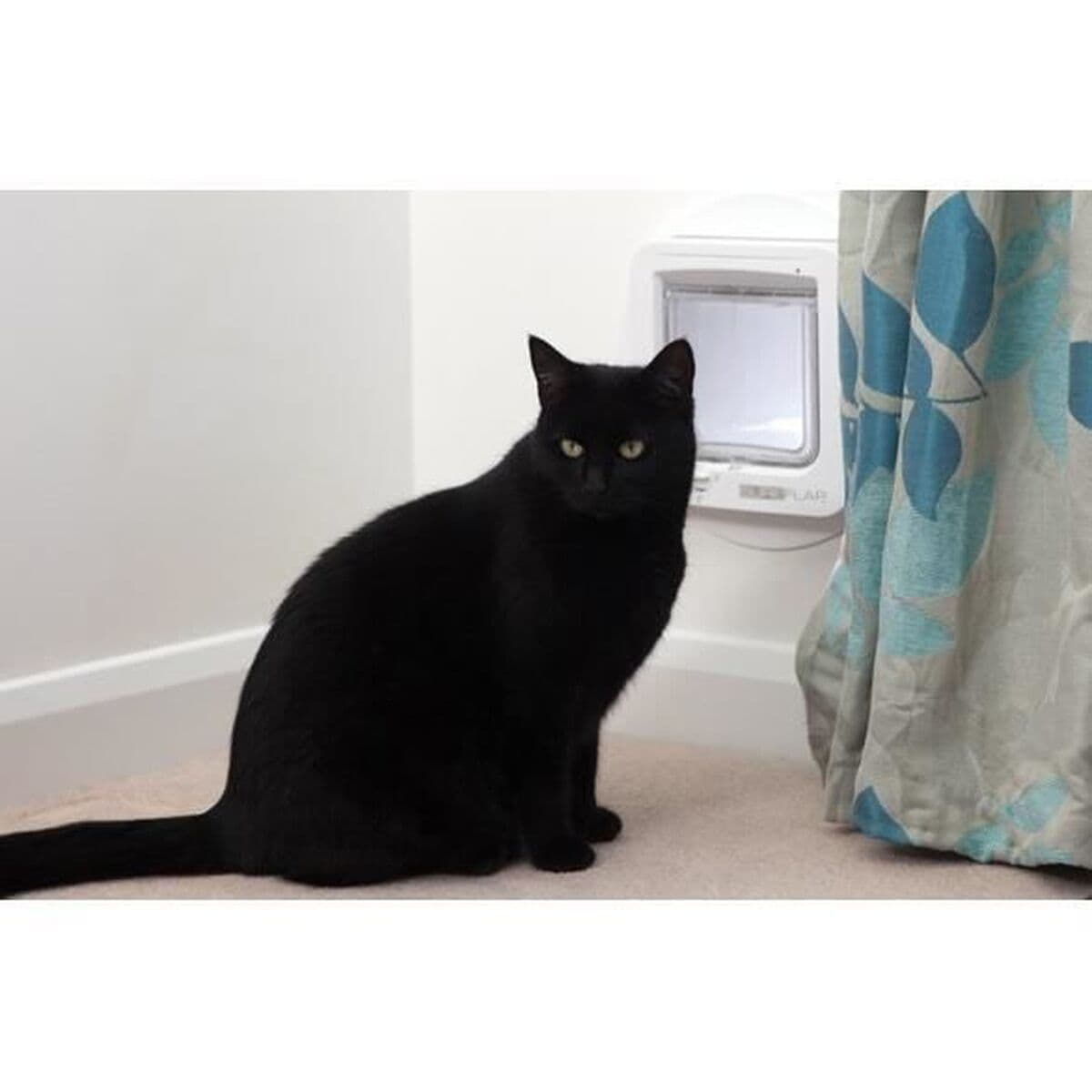 Mačja vrata SureFlap chip 70955 - Image 3