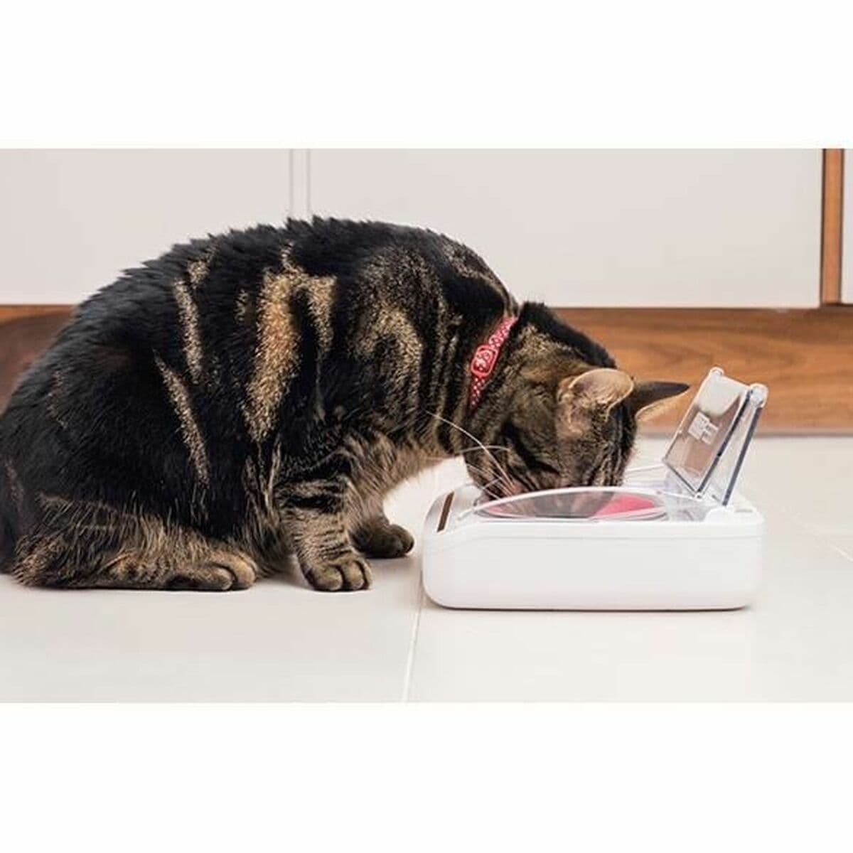 Automatinis tiektuvas SureFlap SureFeed 400 ml Baterijos x 2 - Image 6