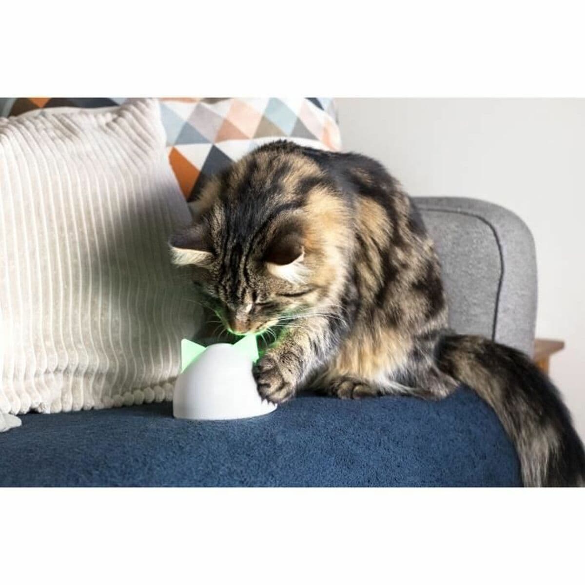 Multiroom Hub Craftenwood iHBWT - Image 5