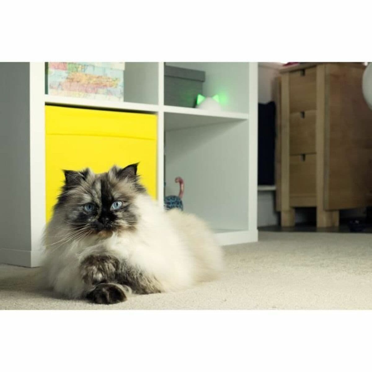 Multiroom Hub Craftenwood iHBWT - Image 6